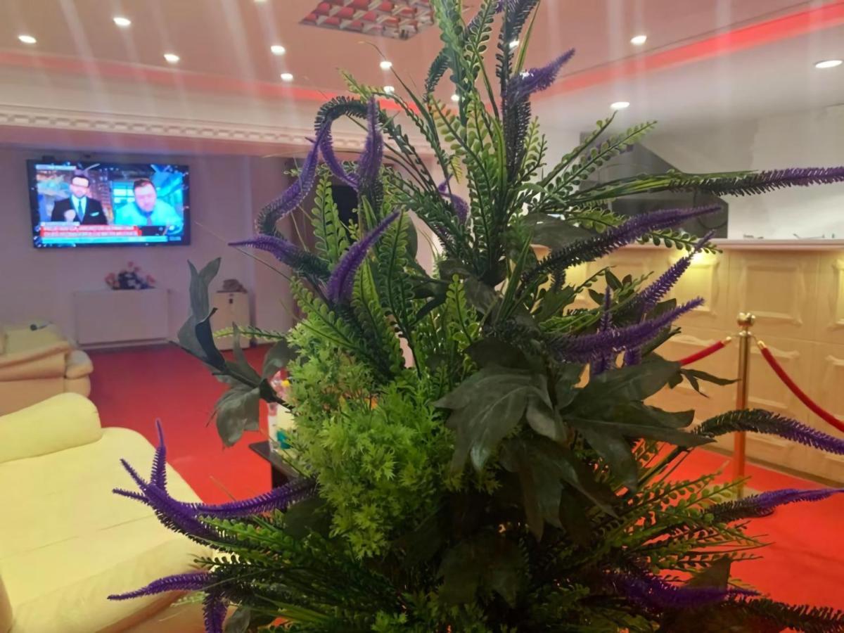 Karra Hotels Voluntari المظهر الخارجي الصورة